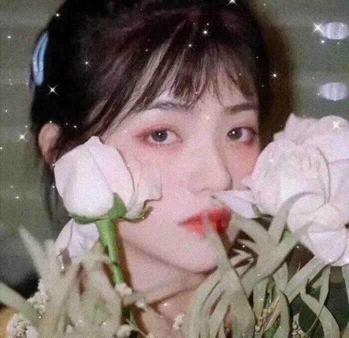 血缘寻亲