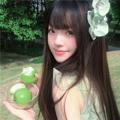 傻儿师长