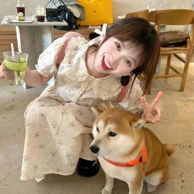 少数意见